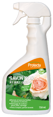 SAVON NATURA NOIR pour feuilles souillées